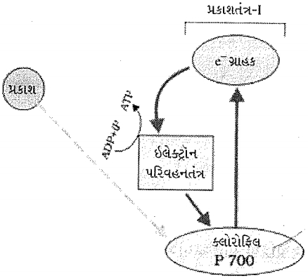 Question diagram