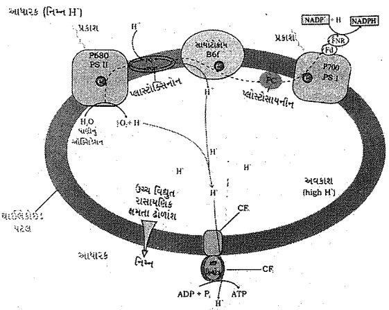 Question diagram