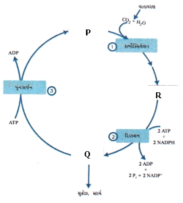 Question diagram