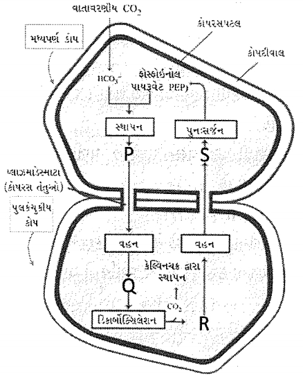 Question diagram