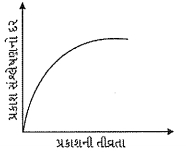 Option B