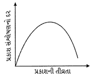 Option C