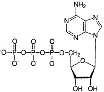 Question diagram