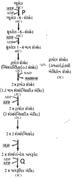 Question diagram