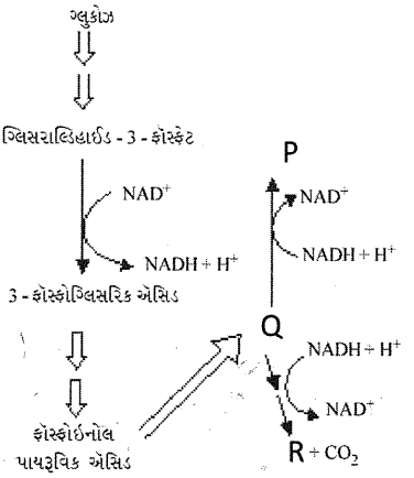 Question diagram