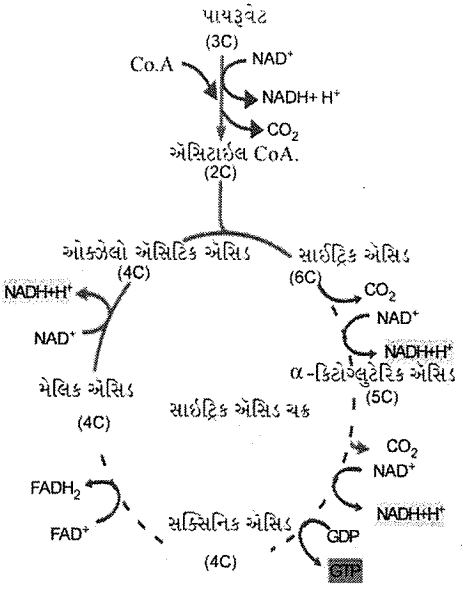 Question diagram