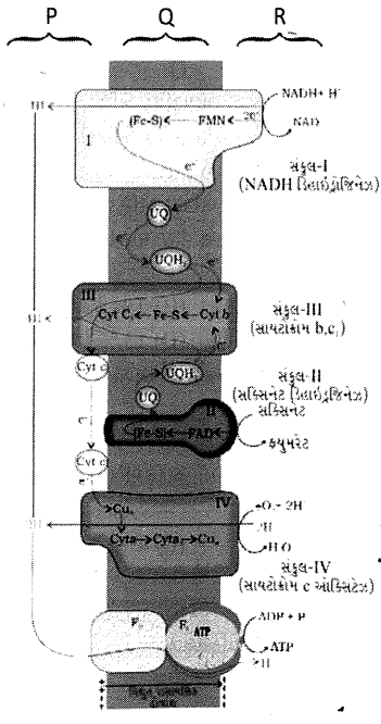 Question diagram