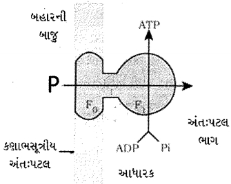 Question diagram