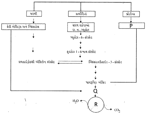 Question diagram
