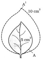 Question diagram