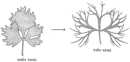 Question diagram