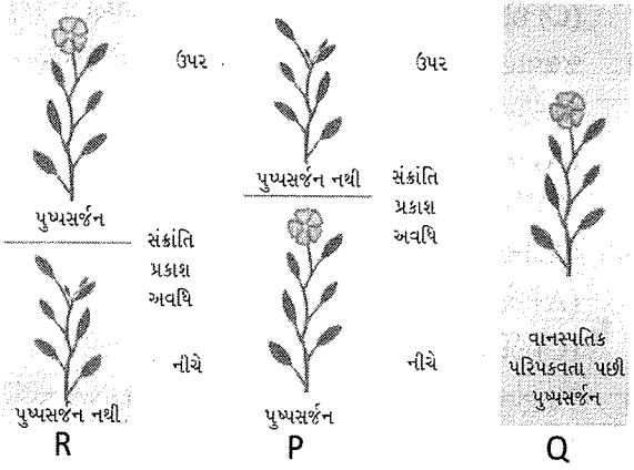 Question diagram