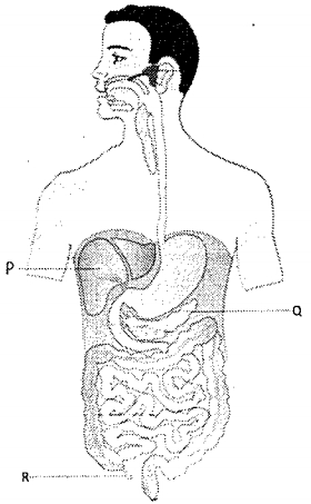 Question diagram