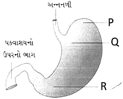 Question diagram