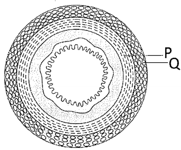 Question diagram