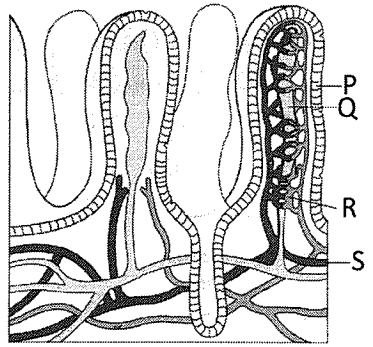 Question diagram