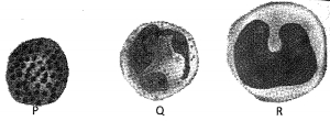 Question diagram
