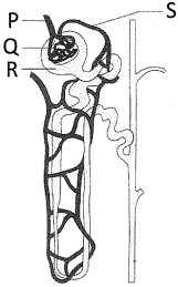 Question diagram