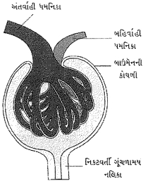 Question diagram