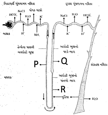 Question diagram