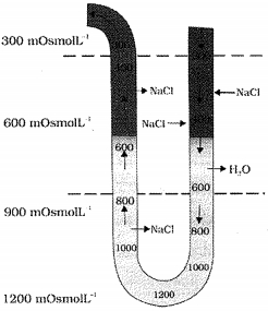 Question diagram
