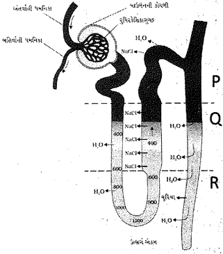 Question diagram