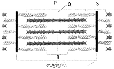 Question diagram