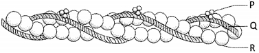 Question diagram
