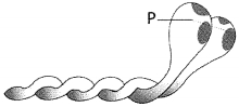 Question diagram