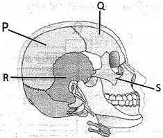 Question diagram