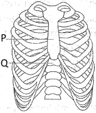 Question diagram