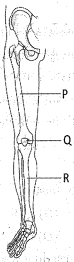 Question diagram