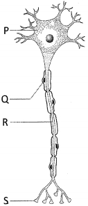 Question diagram