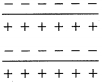 Option D