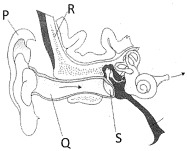 Question diagram