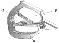 Question diagram