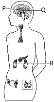 Question diagram