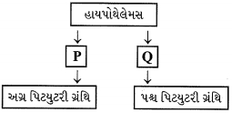 Question diagram