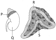 Question diagram