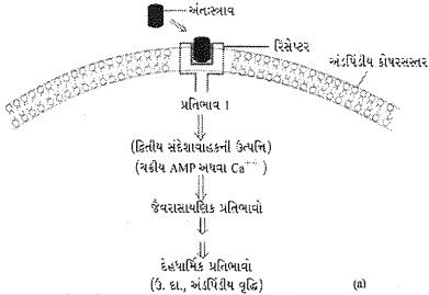 Question diagram
