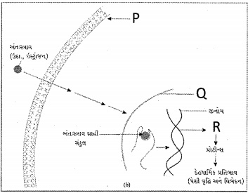 Question diagram