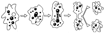 Question diagram