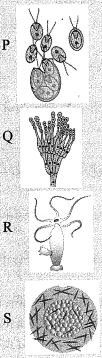 Question diagram