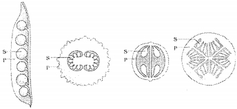 Question diagram