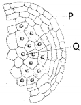 Question diagram