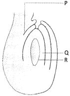 Question diagram