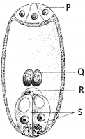 Question diagram