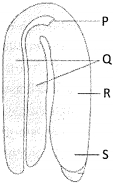 Question diagram