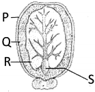 Question diagram