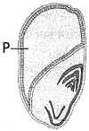 Question diagram